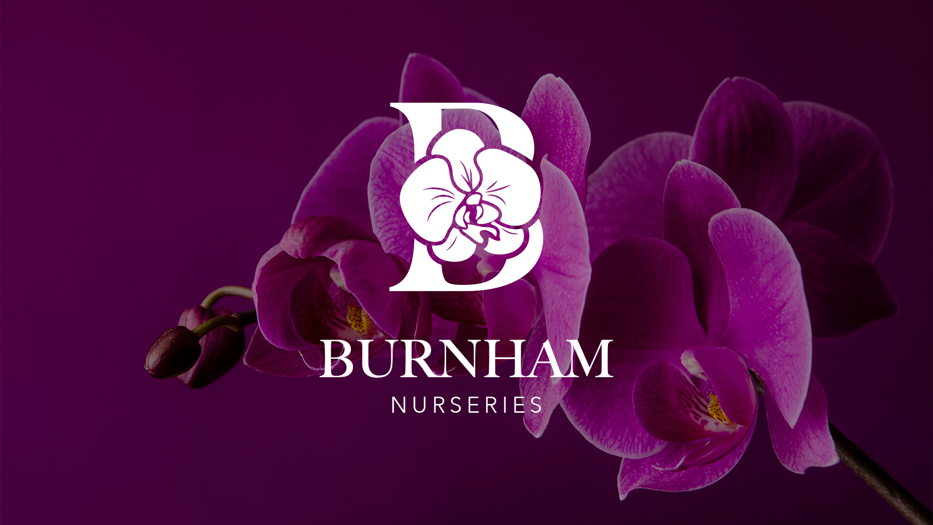 Burnham Nurseries